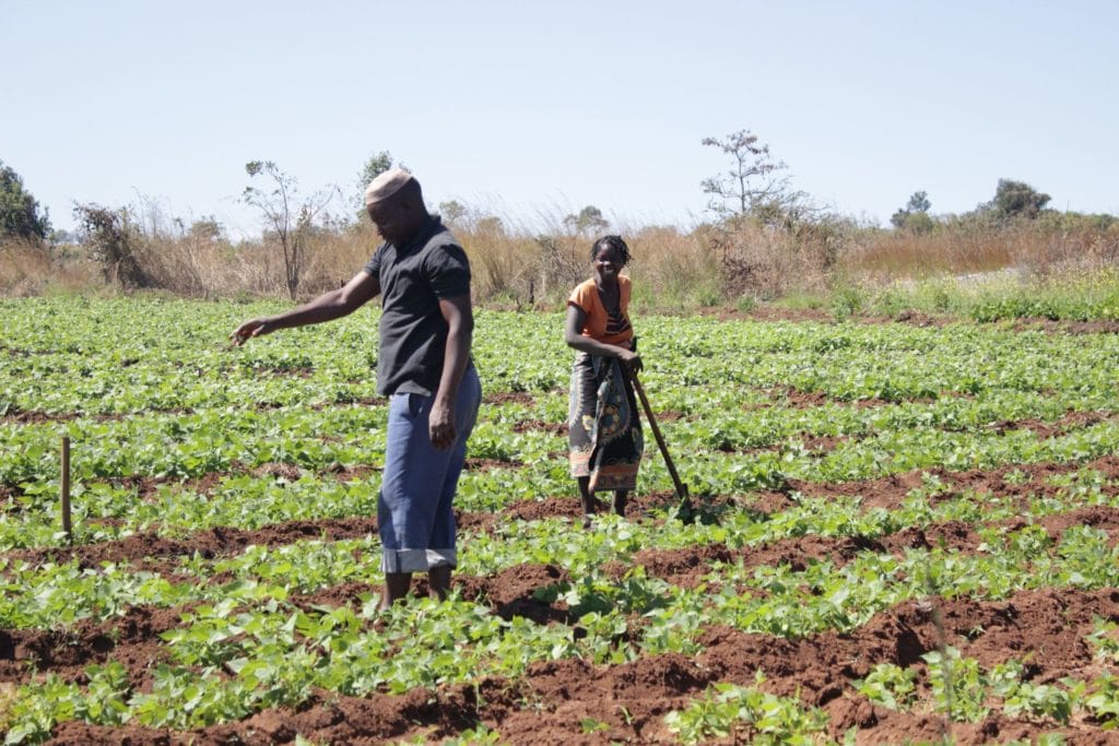 Mozambique, Mundukide